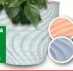 Bauhaus Pflanztopf Piacenza Angebot
