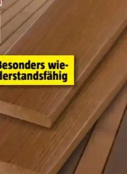 Bauhaus Terrassendiele Thermoesche Angebot