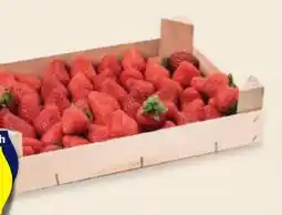 Hofer Hofer Marktplatz Erdbeeren Angebot