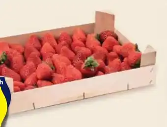 Hofer Hofer Marktplatz Erdbeeren Angebot