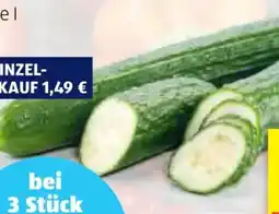 Hofer Hofer Marktplatz Gurke Angebot