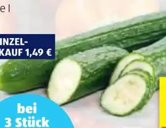 Hofer Hofer Marktplatz Gurke Angebot