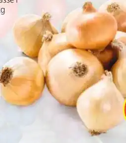 Hofer Hofer Marktplatz Bio Zwiebeln Angebot