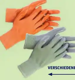 Hofer Gardenline Damen-Gartenhandschuhe Angebot