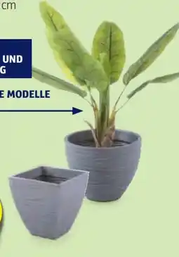 Hofer Belavi Rillen-Pflanztopf Angebot