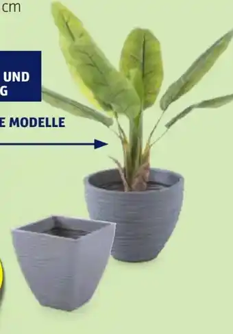 Hofer Belavi Rillen-Pflanztopf Angebot