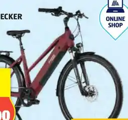 Hofer Prophete E-Bike Entdecker 2.3 Angebot