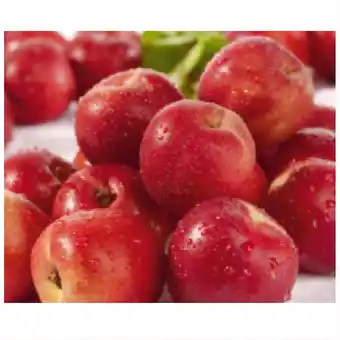 Spar fruchtige Nektarinen SPAR Angebot