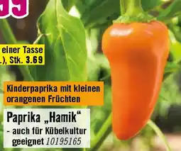 Hornbach Paprika „Hamik Angebot