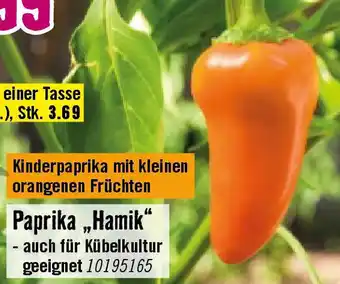 Hornbach Paprika „Hamik Angebot
