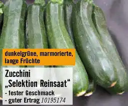Hornbach Zucchini Angebot