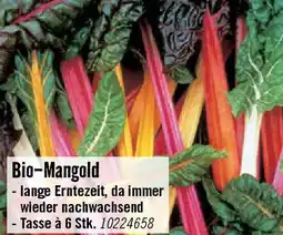 Hornbach Bio-Mangold Angebot