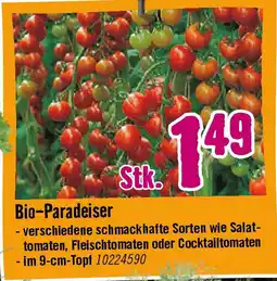 Hornbach Bio-Paradeiser Angebot