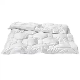 Reiter Tenceldecke „Balu” F2631501 Betten Reiter Angebot