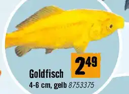 Hornbach Goldfisch Angebot