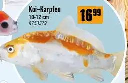 Hornbach Koi-Karpfen Angebot