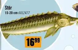 Hornbach Stör Angebot