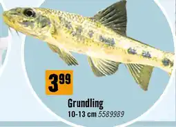 Hornbach Grundling Angebot