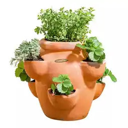 Hellweg Erdbeer- und Kräutertopf „Giardino“ 202185 HELLWEG Angebot