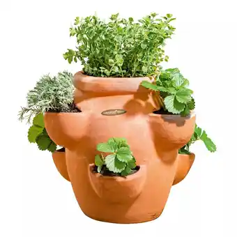 Hellweg Erdbeer- und Kräutertopf „Giardino“ 202185 HELLWEG Angebot