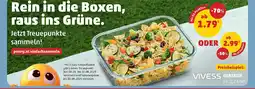 PENNY Vivess glasbox Angebot