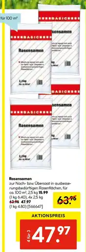 Hellweg Rasensamen Angebot