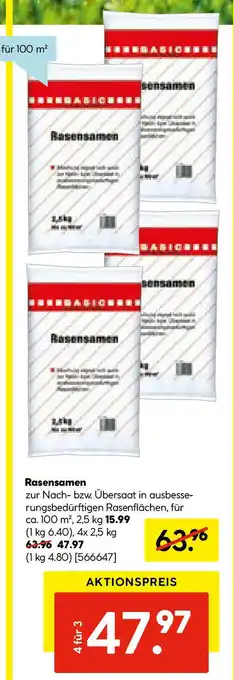 Hellweg Rasensamen Angebot