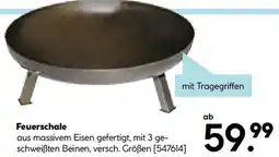 Hellweg Feuerschale Angebot