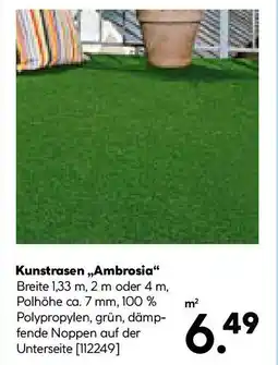 Hellweg Kunstrasen,,Ambrosia Angebot