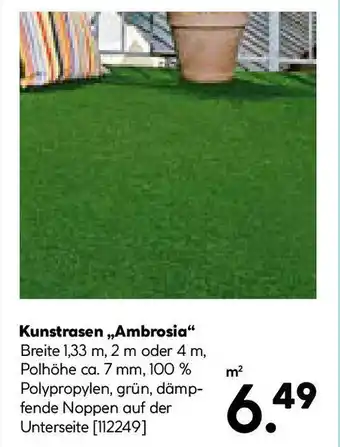 Hellweg Kunstrasen,,Ambrosia Angebot