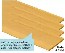 Hellweg Buche Angebot