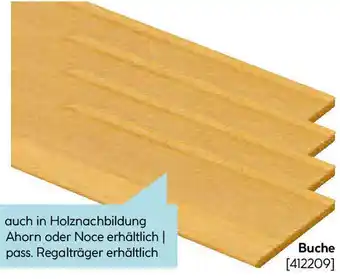 Hellweg Buche Angebot