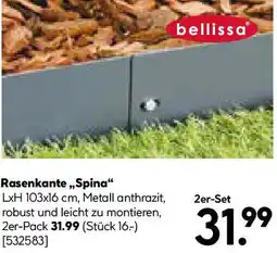 Hellweg Rasenkante,,Spina Angebot