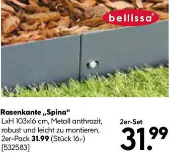 Hellweg Rasenkante,,Spina Angebot