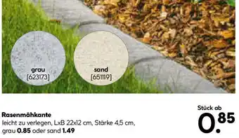 Hellweg Rasenmähkante Angebot