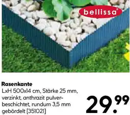 Hellweg Rasenkante Angebot