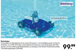 Hellweg Poolreiniger Angebot