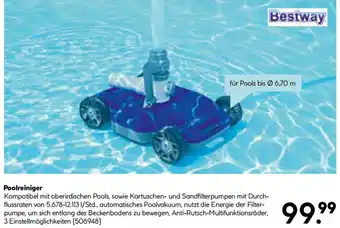 Hellweg Poolreiniger Angebot