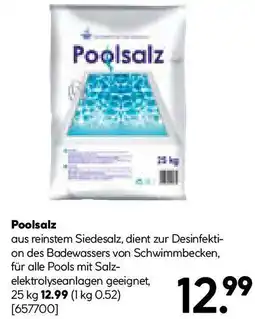 Hellweg Poolsalz Angebot