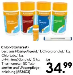 Hellweg Chlor-Starterset Angebot