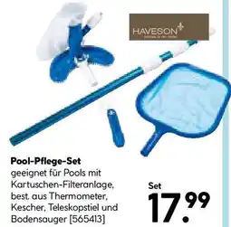 Hellweg Pool-Pflege-Set Angebot