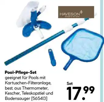 Hellweg Pool-Pflege-Set Angebot