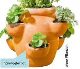 Hellweg Erdbeer- und Kräutertopf Angebot