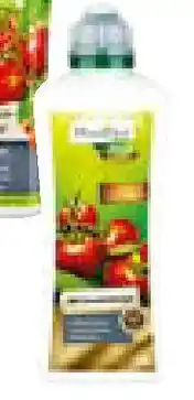 Hellweg BIO Tomatendünger Angebot