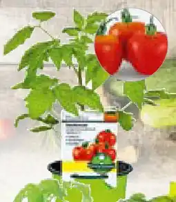 Hellweg veredeltes Vitalgemüse Angebot