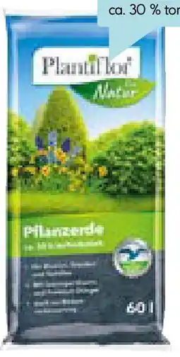 Hellweg Pflanzerde Angebot