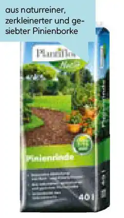 Hellweg Plantiflor Pinienrinde Angebot