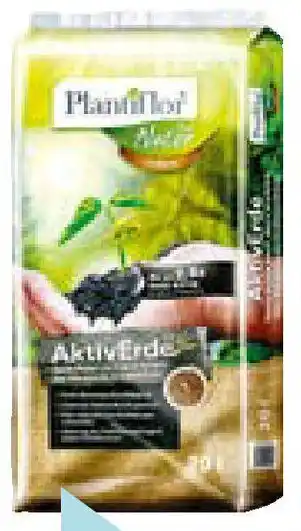 Hellweg Plantiflor Aktiverde Terra Preta Angebot