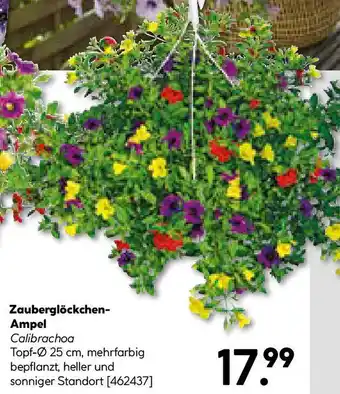 Hellweg Zauberglöckchen-Ampel Angebot