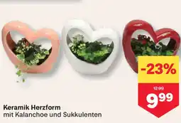 MPreis Keramik Herzform Angebot